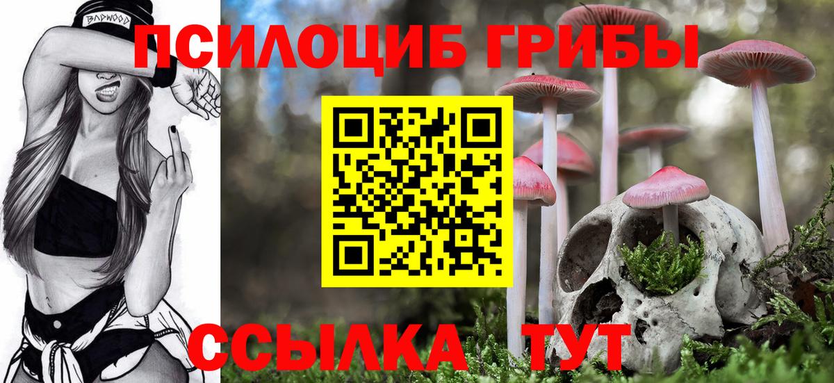 Псилоцибиновые грибы Magic Shrooms  Вход с VPN  Котлас 
