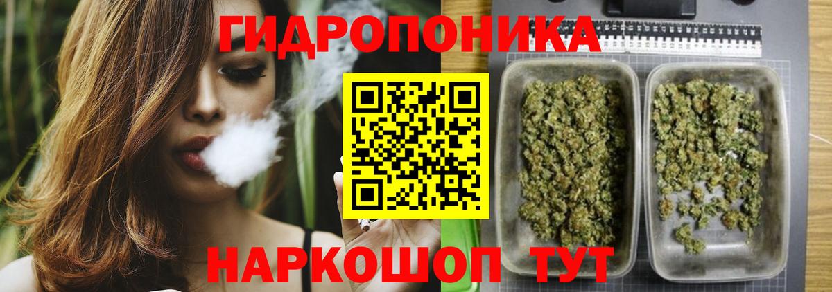 Каннабис гибрид Котлас